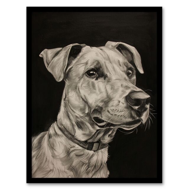 "Artery8 Dog Lover Portrait Pencil Drawing Pet Animal Framed Art Print in Black - Size: W12"" x H16""" - image 1