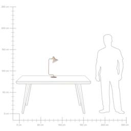 Wyld and Coco Beige Metal Desk Lamp 51 cm - Adjustable Cone Shade - thumbnail 7