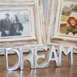 Paper High Reclaimed Metal Dream Sign in Silver - thumbnail 4