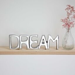 Paper High Reclaimed Metal Dream Sign in Silver - thumbnail 3