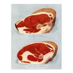 "Artery8 Beef Sirloins Illustration Vintage Wall Art Print Poster in Blue - Size: W18"" x H24""" - thumbnail 1