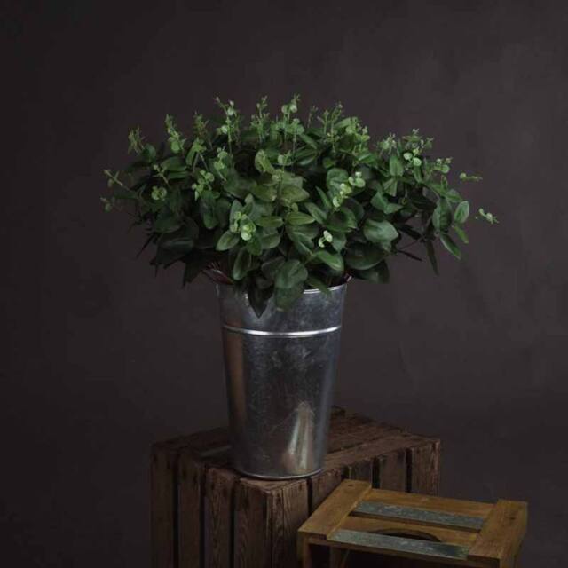 Lemon Pavilion Furniture and Decor Cineraria Eucalyptus Spray Artificial Plant, L5 x W20 x H62 cm - Green