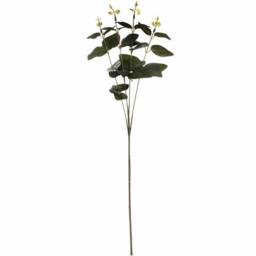 Lemon Pavilion Furniture and Decor Cineraria Eucalyptus Spray Artificial Plant, L5 x W20 x H62 cm - Green - thumbnail 6