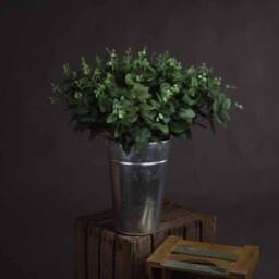 Lemon Pavilion Furniture and Decor Cineraria Eucalyptus Spray Artificial Plant, L5 x W20 x H62 cm - Green - thumbnail 1