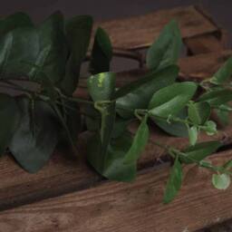 Lemon Pavilion Furniture and Decor Cineraria Eucalyptus Spray Artificial Plant, L5 x W20 x H62 cm - Green - thumbnail 3
