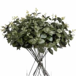 Lemon Pavilion Furniture and Decor Cineraria Eucalyptus Spray Artificial Plant, L5 x W20 x H62 cm - Green - thumbnail 4