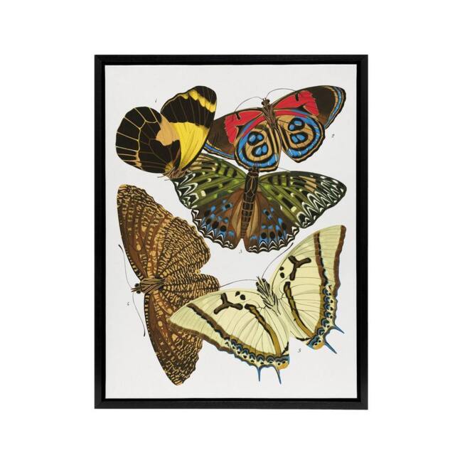 "Artery8 Vintage Butterflies Papillons Framed Canvas Wall Art Print Eugene Seguy - Size: W12"" x H16""" - image 1