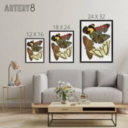 "Artery8 Vintage Butterflies Papillons Framed Canvas Wall Art Print Eugene Seguy - Size: W12"" x H16""" - thumbnail 4