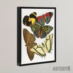 "Artery8 Vintage Butterflies Papillons Framed Canvas Wall Art Print Eugene Seguy - Size: W12"" x H16""" - thumbnail 2