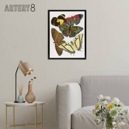 "Artery8 Vintage Butterflies Papillons Framed Canvas Wall Art Print Eugene Seguy - Size: W12"" x H16""" - thumbnail 3