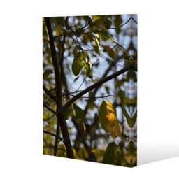 Benjamin Tate Design leaves & branches (Canvas Print) / 46 x 31 x 4cm in Natural - Size: 46 x 31 x 4 cm - thumbnail 1