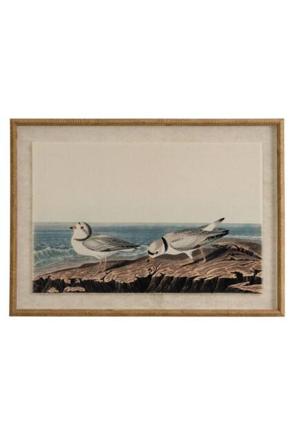 KDMD Flora & Fauna Plovers on Linen Wall Art with Beaded Frame in Brown - image 1