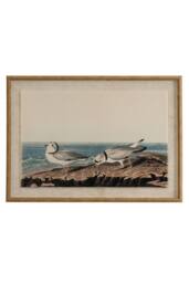 KDMD Flora & Fauna Plovers on Linen Wall Art with Beaded Frame in Brown