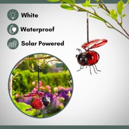 Marco Paul Pack of 2 Metal Red Ladybird Solar Powered Garden Ornament - thumbnail 5
