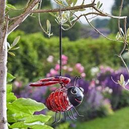 Marco Paul Pack of 2 Metal Red Ladybird Solar Powered Garden Ornament - thumbnail 3