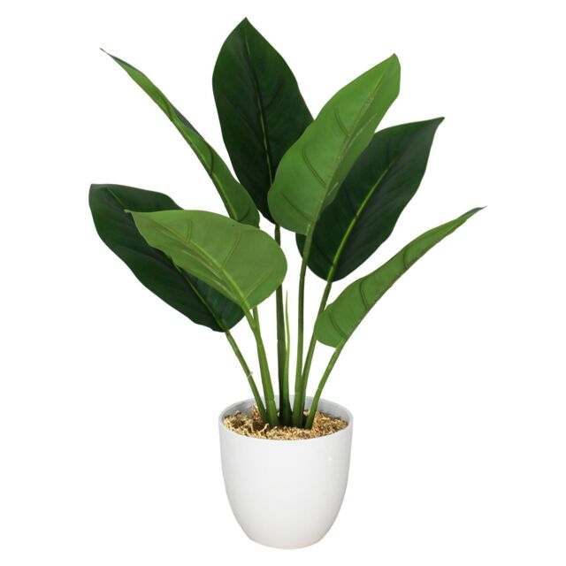Leaf Artificial Foliage Plant Potted Aureum 45cm in Green - image 1