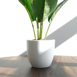 Leaf Artificial Foliage Plant Potted Aureum 45cm in Green - thumbnail 5