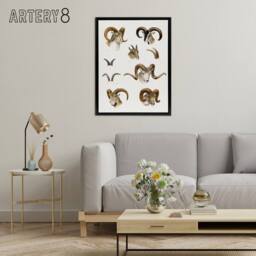"Artery8 Wild Bovidae Vintage Illustration Lydekker Black Framed Canvas Art in White - Size: W12"" x H16""" - thumbnail 3