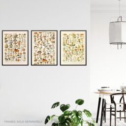 Artery8 Wall Art Print Iconic s Of Mushrooms Vintage Millot Set Of 3 s Kitchen Aesthetic Fungus Champignon A4 - thumbnail 3