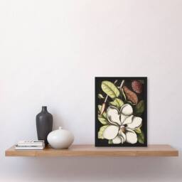 Artery8 Laurel Tree Magnolia Altissima Flower Catesby Framed Wall Art Print - Size: A4 - thumbnail 2