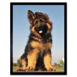 "Artery8 Puppy German Shepherd Alsatian Photo Home Decor 12x16"" Framed Art in Brown - Size: W12"" x H16""" - thumbnail 1
