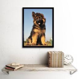"Artery8 Puppy German Shepherd Alsatian Photo Home Decor 12x16"" Framed Art in Brown - Size: W12"" x H16""" - thumbnail 2