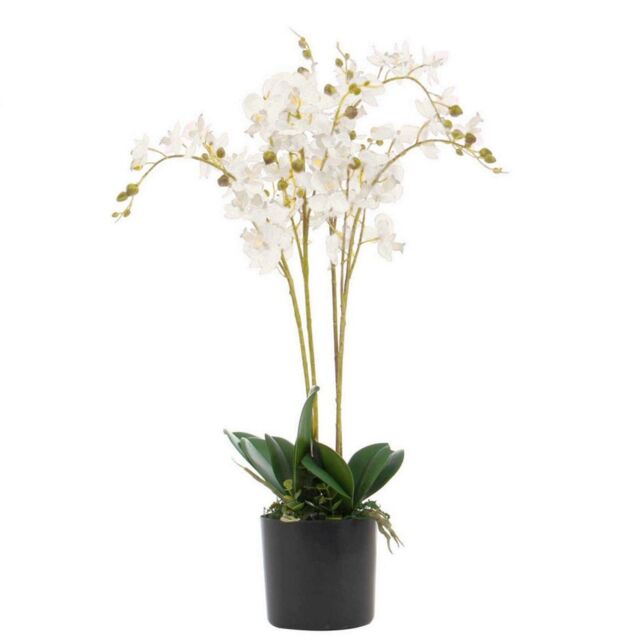 Leaf 60cm Design UK Realistic Artificial Orchid Flower Display in Pot in White - image 1