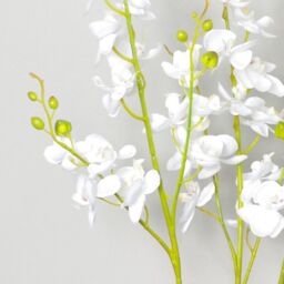 Leaf 60cm Design UK Realistic Artificial Orchid Flower Display in Pot in White - thumbnail 2