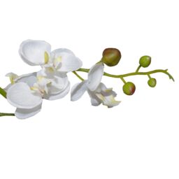 Leaf 60cm Design UK Realistic Artificial Orchid Flower Display in Pot in White - thumbnail 3