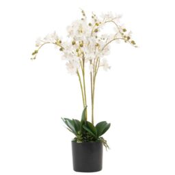 Leaf 60cm Design UK Realistic Artificial Orchid Flower Display in Pot in White - thumbnail 1