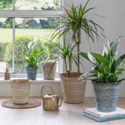 Ivyline Vallo Reactive Glaze Tapered Cream Planter H26.5cm D29.5cm - thumbnail 1