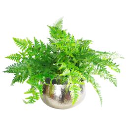 Leaf Large Metal Planter Bowl 32 x 20cm Hammered Silver Colour - Curvy Edge - Size: 32 x 20 cm - thumbnail 2