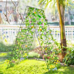 Costway 2-Piece Green Cucumber Garden Trellis A-Frame Grow Support for Climbing Plant in Black - thumbnail 4