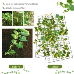 Costway 2-Piece Green Cucumber Garden Trellis A-Frame Grow Support for Climbing Plant in Black - thumbnail 5