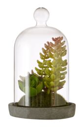 Orsina Fiori Small Succulent Dome with Cement Base in Grey - thumbnail 1