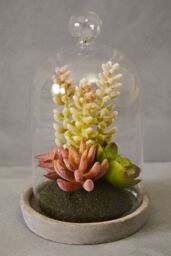 Orsina Fiori Small Succulent Dome with Cement Base in Grey - thumbnail 2