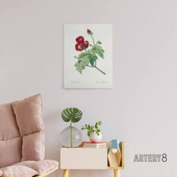 "Artery8 Callirhoe Poppy Mallow Flower Redoute Vintage Canvas Wall Art in White - Size: W18"" x H24""" - thumbnail 3