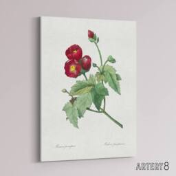 "Artery8 Callirhoe Poppy Mallow Flower Redoute Vintage Canvas Wall Art in White - Size: W18"" x H24""" - thumbnail 2
