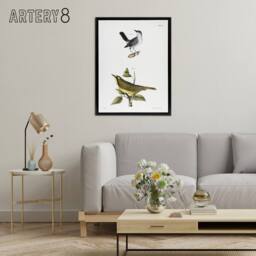 "Artery8 James De Kay Gnatcatcher & Kentucky Warbler Framed Canvas Art Print in White - Size: W12"" x H16""" - thumbnail 3