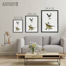 "Artery8 James De Kay Gnatcatcher & Kentucky Warbler Framed Canvas Art Print in White - Size: W12"" x H16""" - thumbnail 4