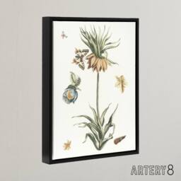 "Artery8 Keizerskroon Tulip & Butterfly Teyler Black Framed Canvas Wall Art in White - Size: W24"" x H32""" - thumbnail 2
