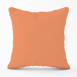 Warren Reed - Designer Faded Orange Outdoor Cushion - Size: 45 cm x 45 cm - thumbnail 1