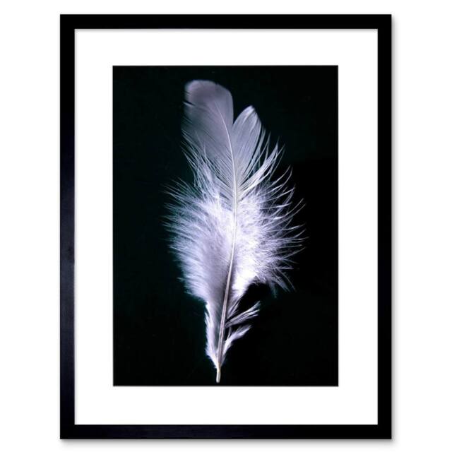 "Artery8 Photo Modern Black White Feather Bird 12x16"" Framed Art Print - Size: W12"" x H16""" - image 1