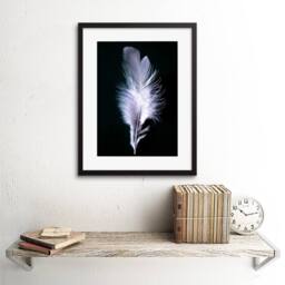 "Artery8 Photo Modern Black White Feather Bird 12x16"" Framed Art Print - Size: W12"" x H16""" - thumbnail 2