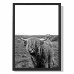 ARTZE Cheeky Highland Cow Animal Black & White Photo Framed Print SIZE: A4 with Black Frame - thumbnail 1