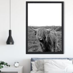 ARTZE Cheeky Highland Cow Animal Black & White Photo Framed Print SIZE: A4 with Black Frame - thumbnail 2