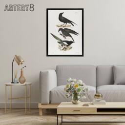 "Artery8 James Ellsworth De Kay Raven Crow & Magpie Framed Canvas Art Print in White - Size: W12"" x H16""" - thumbnail 3