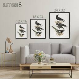 "Artery8 James Ellsworth De Kay Raven Crow & Magpie Framed Canvas Art Print in White - Size: W12"" x H16""" - thumbnail 4
