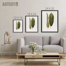 "Artery8 AF Lydon B Fawcett Croton Plant Leaf Varieties Framed Canvas Art in White - Size: W18"" x H24""" - thumbnail 4