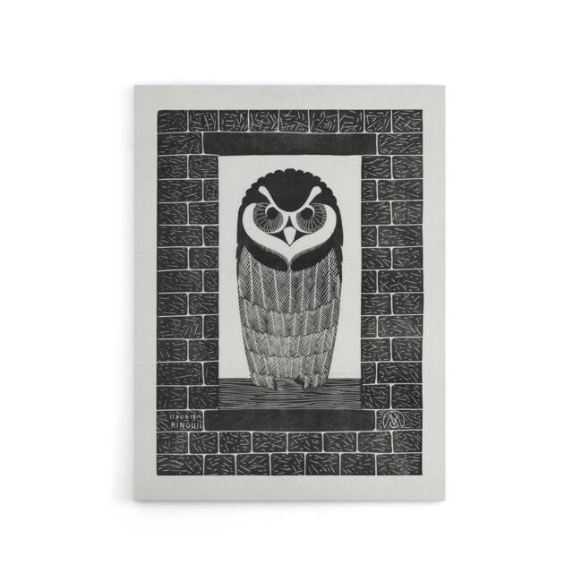 "Artery8 Ringuil Owl Bird on a Window De Mesquita Canvas Wall Art Print in White - Size: W12"" x H16""" - image 1